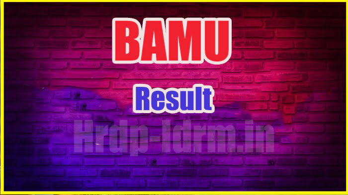 BAMU result 2024