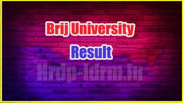 Brij University result 2024