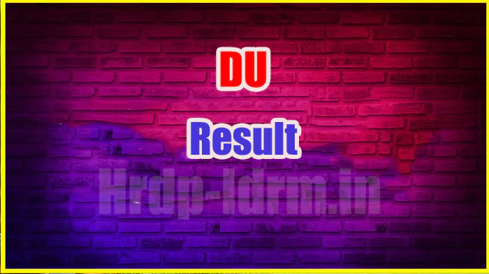 DU result 2024