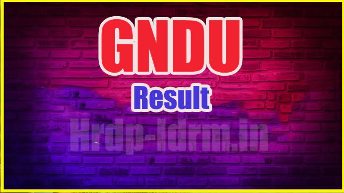 GNDU result 2024