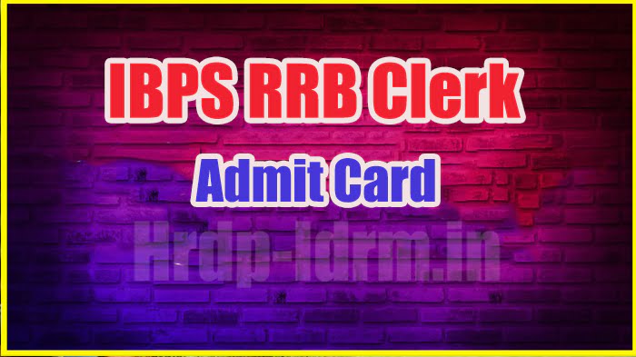 IBPS RRB Clerk admit card 2024