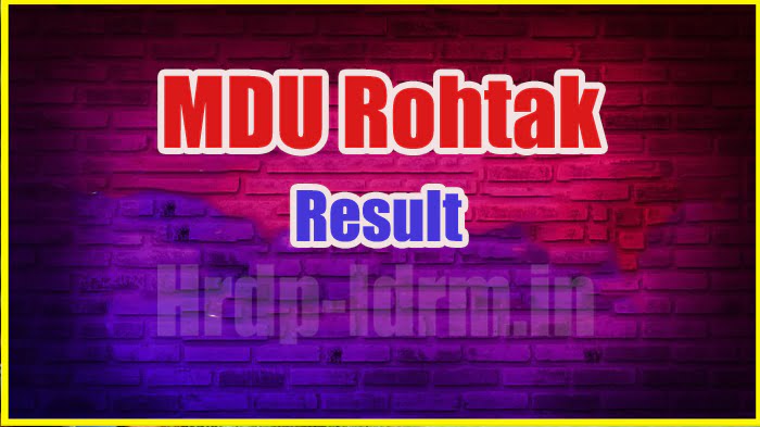 MDU Rohtak result 2024