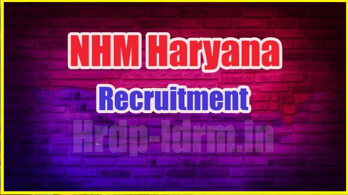 NHM Haryana recruitment 2024