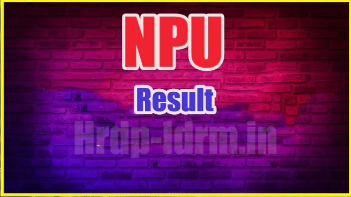 NPU result 2024