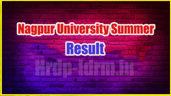 Nagpur University Summer result 2024