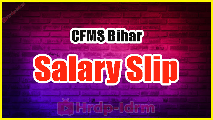 CFMS Bihar 2024