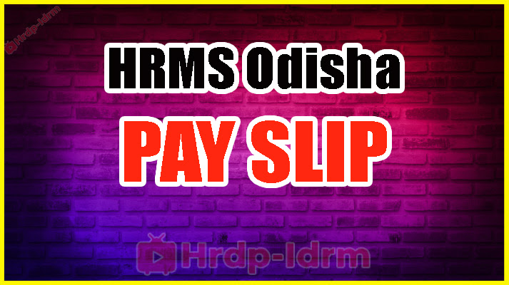 HRMS Odisha 2024