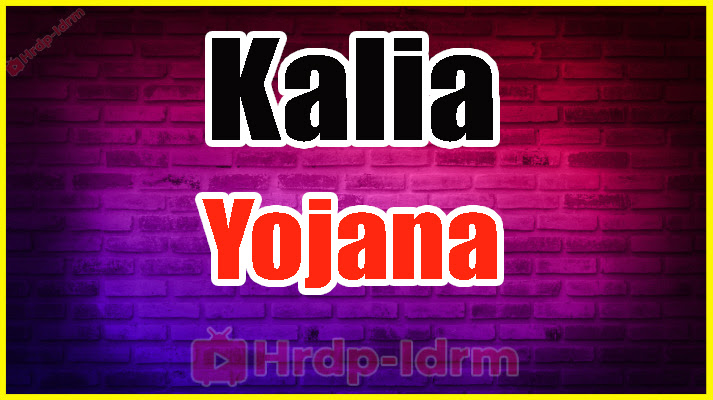 Kalia Yojana Helpline Number 2024