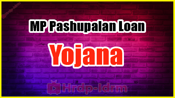 MP Pashupalan Loan Yojana 2024