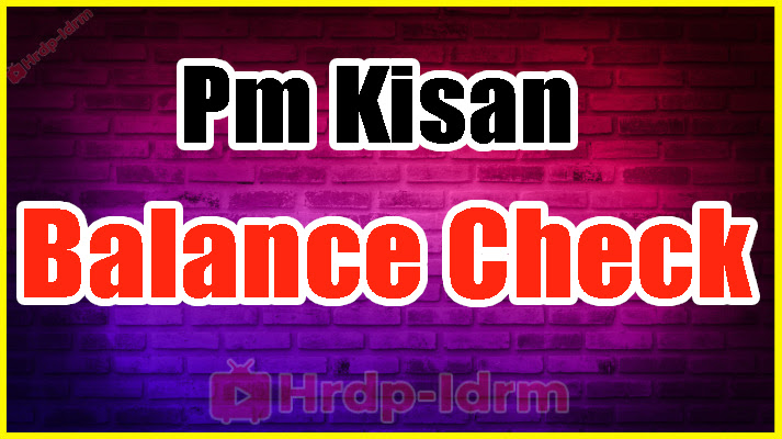 Pm Kisan Balance Check 2024