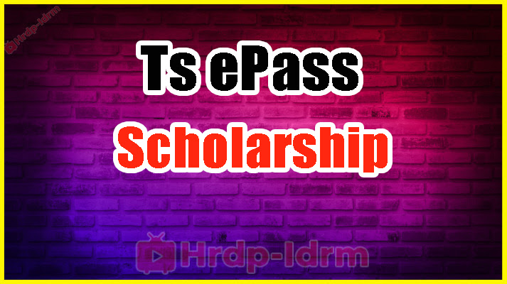 Ts ePass Scholarship 2024