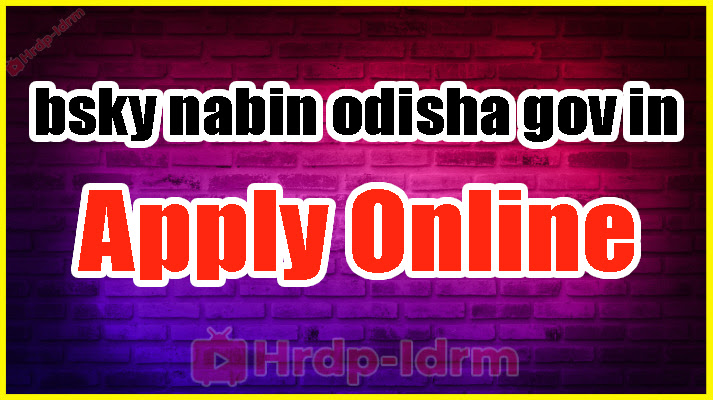 bsky nabin odisha gov in Apply Online 2024