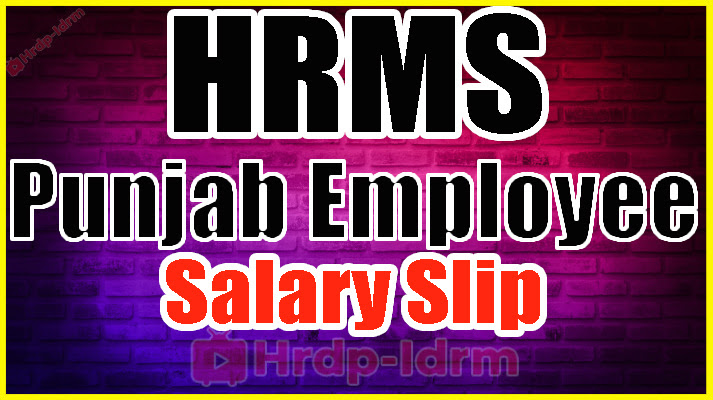 HRMS Punjab Employee Salary Slip