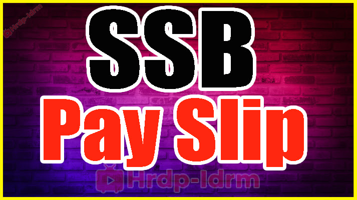 SSB Pay Slip