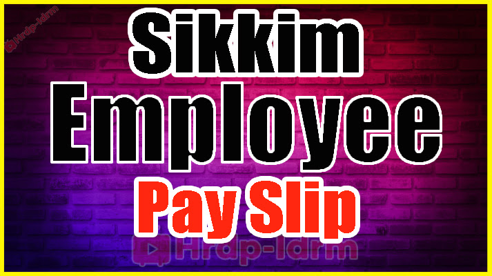 Sikkim Employee Pay Slip 