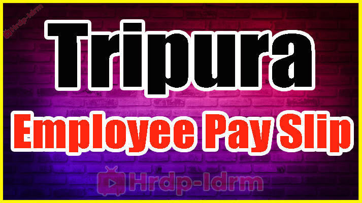 Tripura Employee Pay Slip